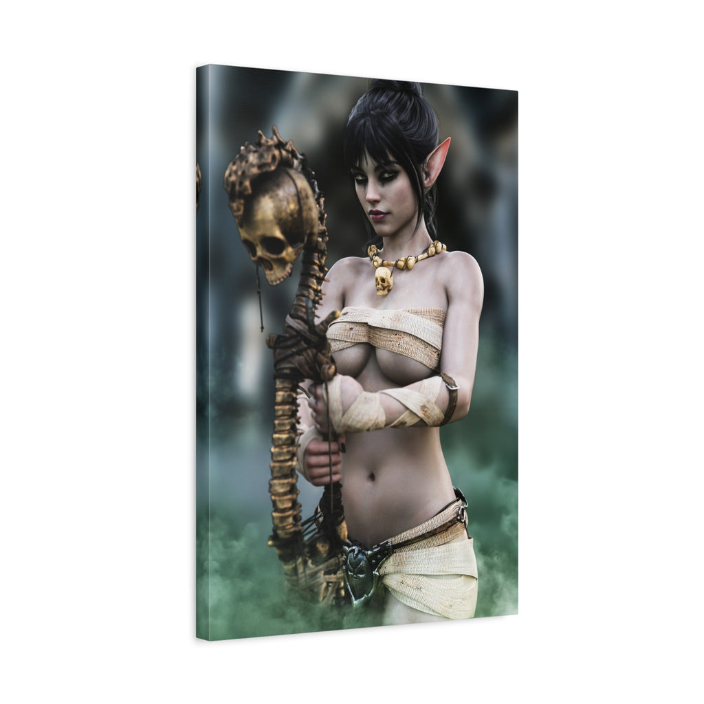 Dark Elf Necromancer Canvas Wall Art | Gothic Fantasy Sorceress Artwork