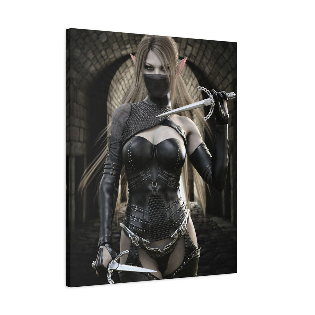 Dark Elf Assassin Canvas Wall Art | Fantasy Rogue Elf Artwork
