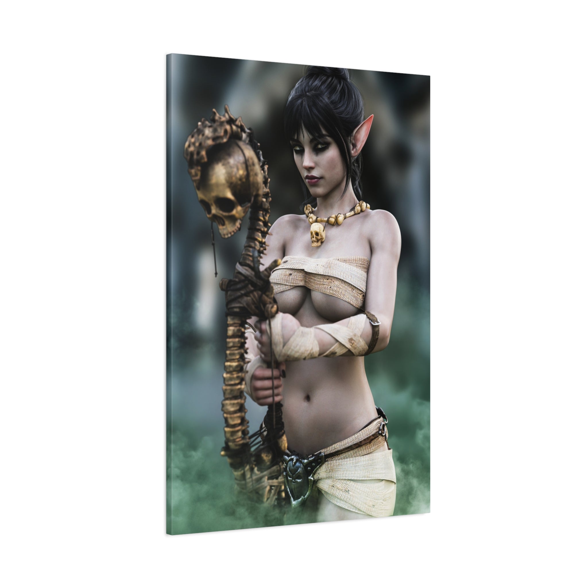 Dark Elf Necromancer Canvas Wall Art | Gothic Fantasy Sorceress Artwork
