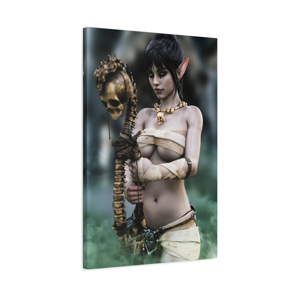 Dark Elf Necromancer Canvas Wall Art | Gothic Fantasy Sorceress Artwork