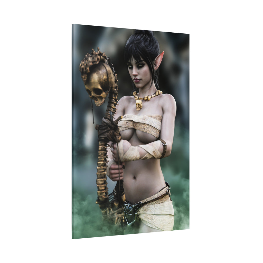 Dark Elf Necromancer Canvas Wall Art | Gothic Fantasy Sorceress Artwork