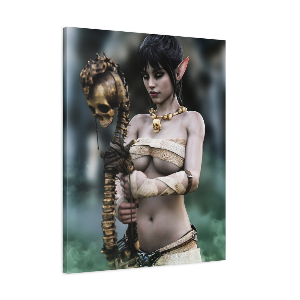 Dark Elf Necromancer Canvas Wall Art | Gothic Fantasy Sorceress Artwork