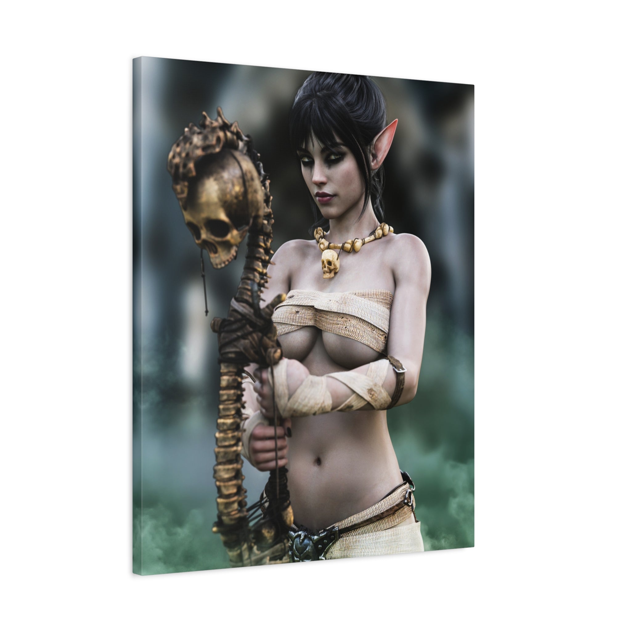 Dark Elf Necromancer Canvas Wall Art | Gothic Fantasy Sorceress Artwork