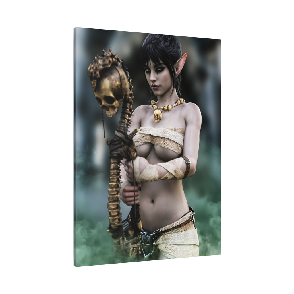 Dark Elf Necromancer Canvas Wall Art | Gothic Fantasy Sorceress Artwork