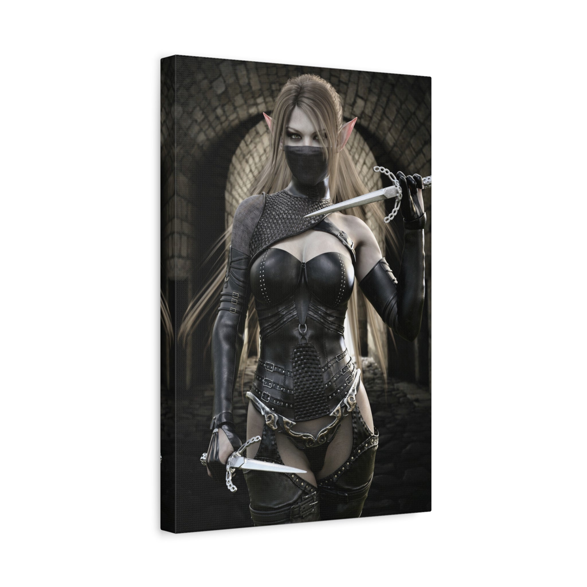 Dark Elf Assassin Canvas Wall Art | Fantasy Rogue Elf Artwork