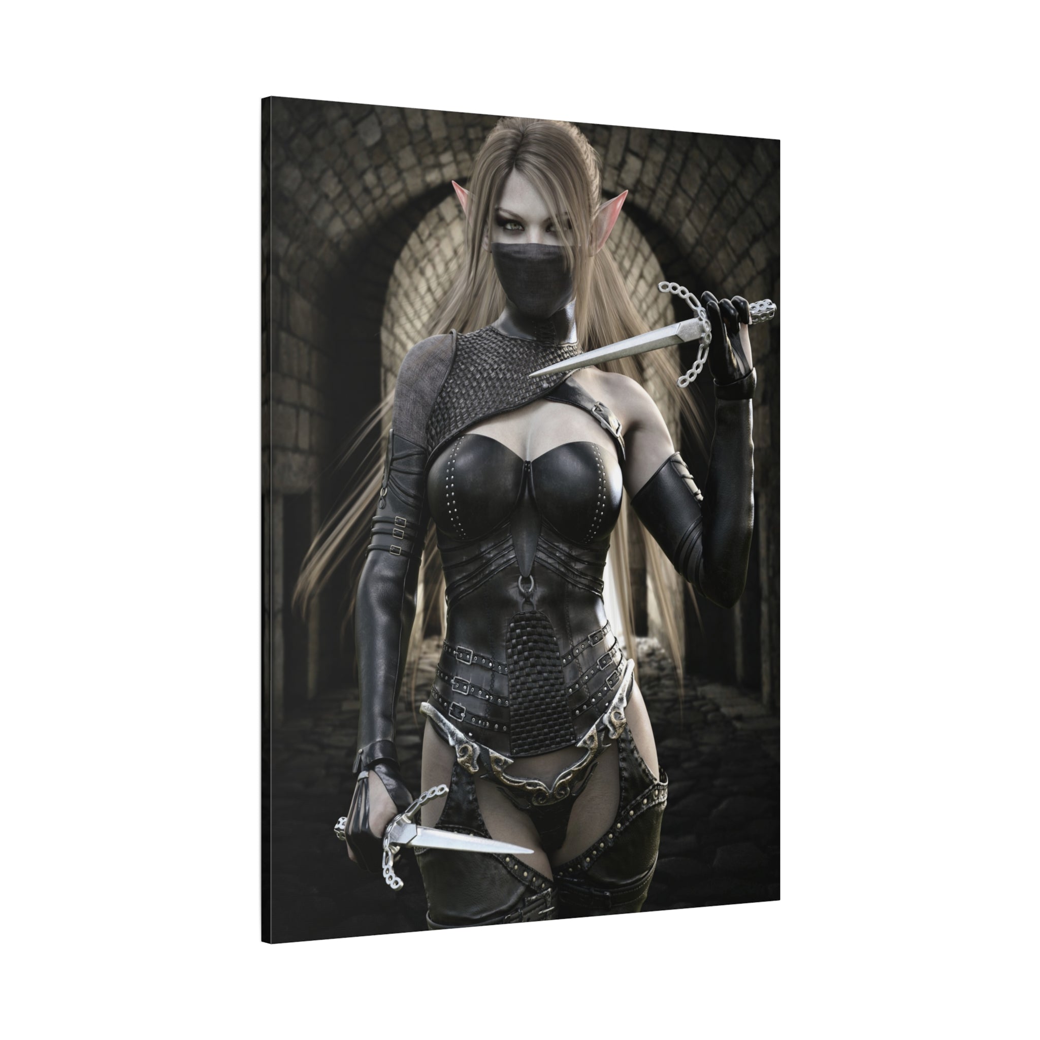 Dark Elf Assassin Canvas Wall Art | Fantasy Rogue Elf Artwork
