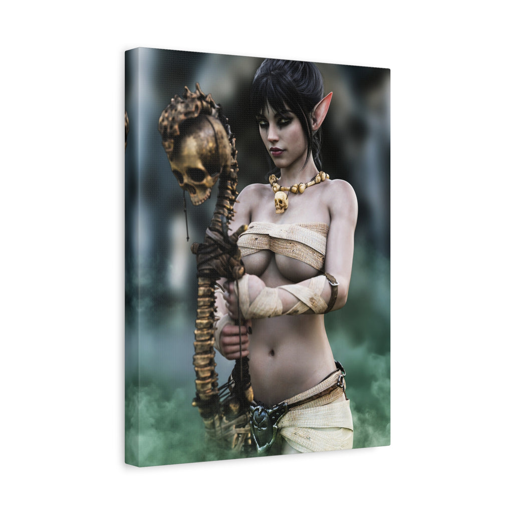Dark Elf Necromancer Canvas Wall Art | Gothic Fantasy Sorceress Artwork
