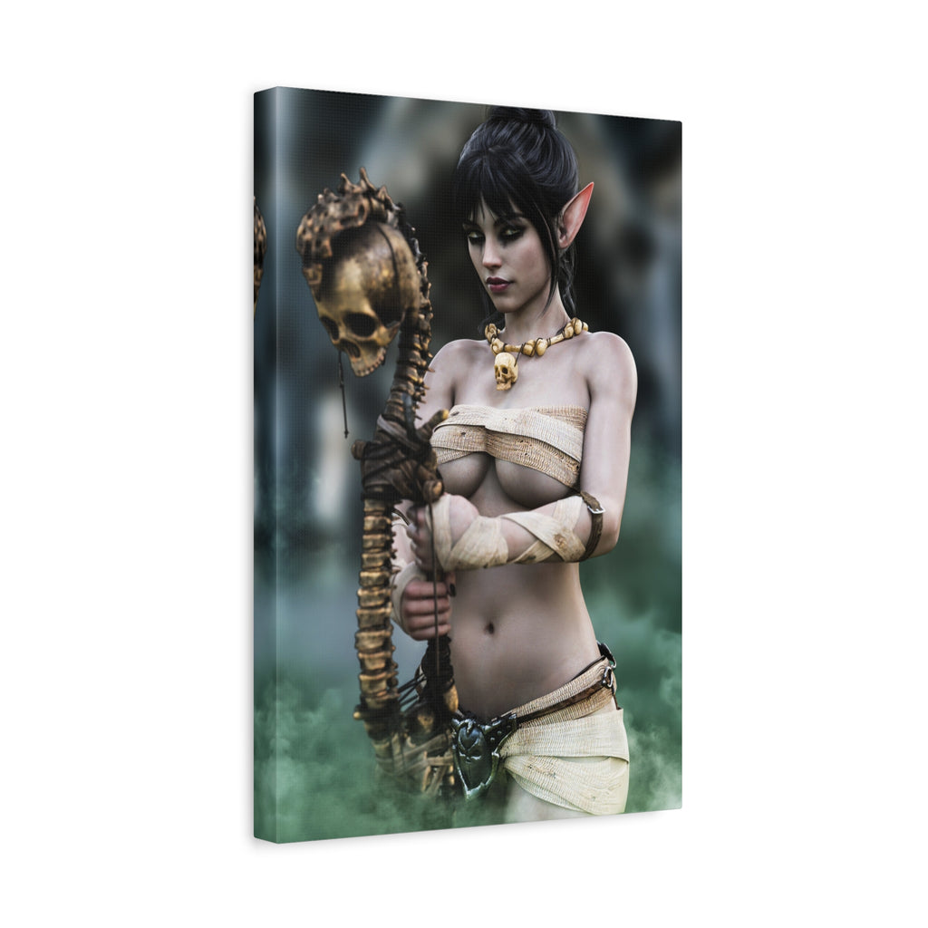 Dark Elf Necromancer Canvas Wall Art | Gothic Fantasy Sorceress Artwork