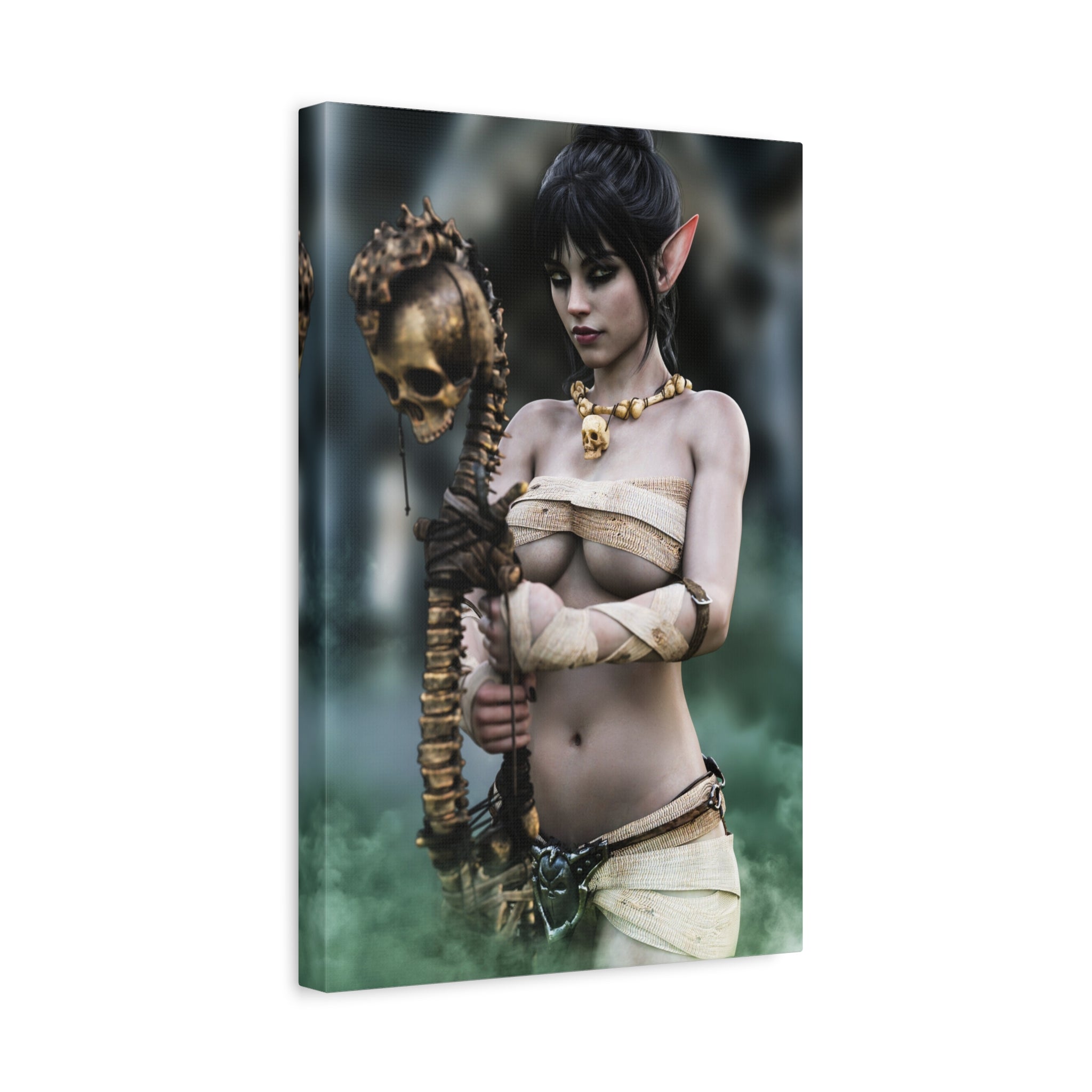 Dark Elf Necromancer Canvas Wall Art | Gothic Fantasy Sorceress Artwork