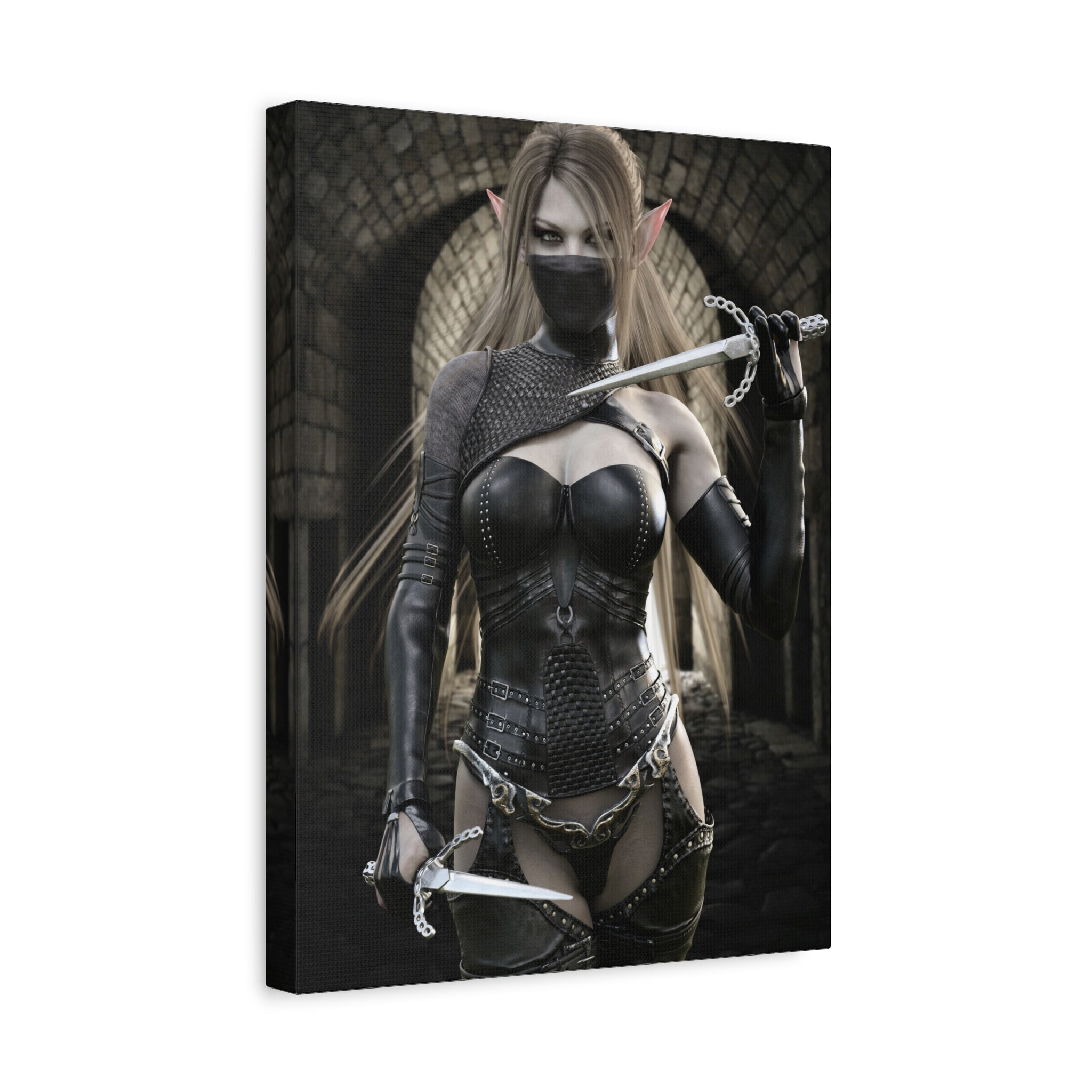 Dark Elf Assassin Canvas Wall Art | Fantasy Rogue Elf Artwork