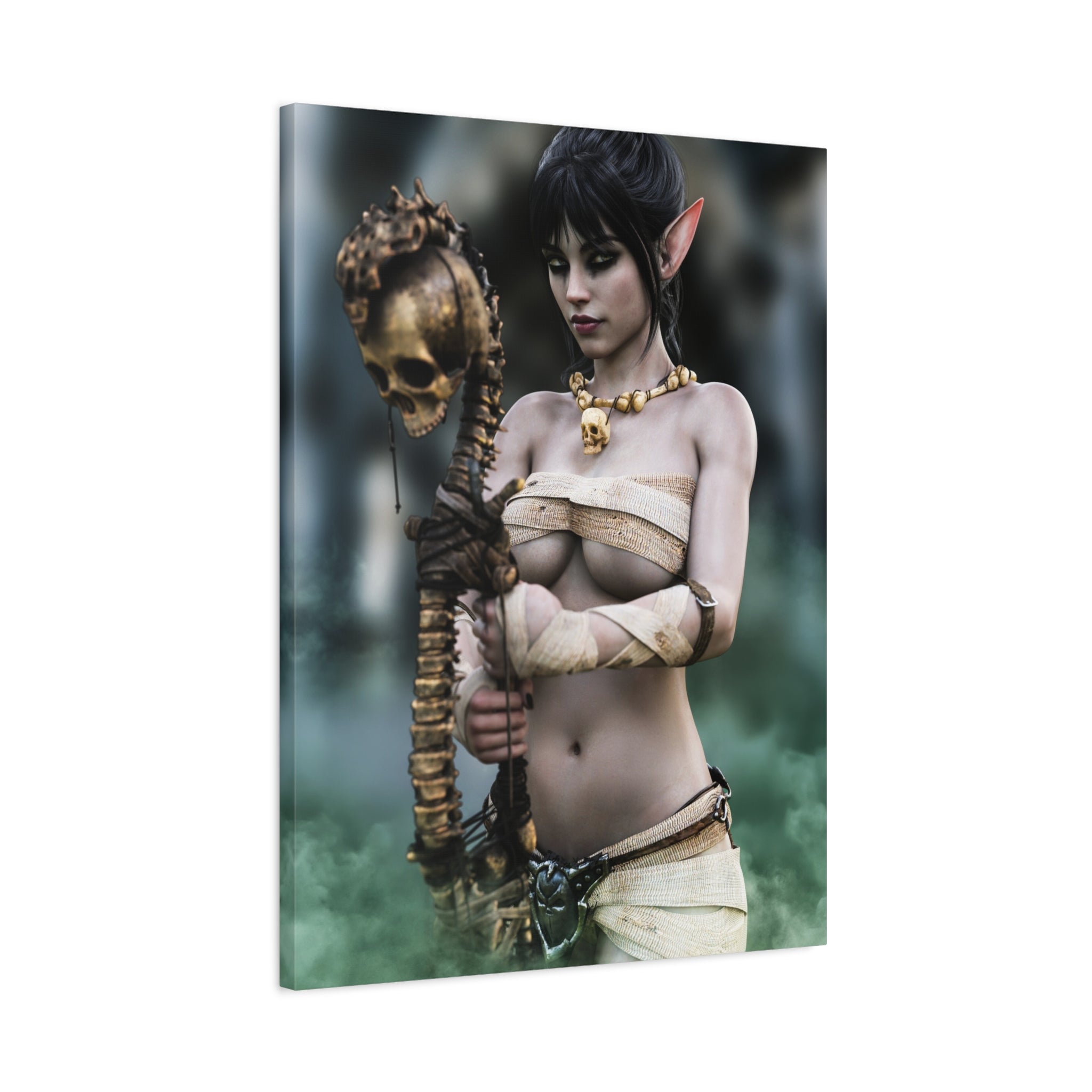 Dark Elf Necromancer Canvas Wall Art | Gothic Fantasy Sorceress Artwork