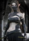 Dark elf assassin wall art featuring a masked female elf rogue with green eyes, dual daggers and black leather armor in a gothic fantasy setting.