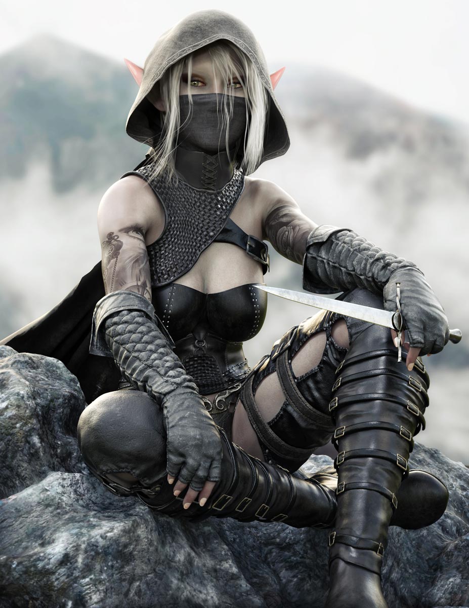 Dark elf rogue wall art featuring a hooded masked female elf with dagger and black armor seated on rocks in a misty mountain landscape.