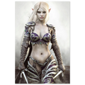 Dark Elf Rogue Assassin wall art featuring a masked female elven warrior with emerald eyes, engraved silver armor, a razor-sharp dagger, and a quiver of arrows in an enchanted forest. Handcrafted fantasy artwork perfect for gaming rooms, RPG fans, and medieval fantasy décor.