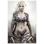 Dark Elf Rogue Assassin wall art featuring a masked female elven warrior with emerald eyes, engraved silver armor, a razor-sharp dagger, and a quiver of arrows in an enchanted forest. Handcrafted fantasy artwork perfect for gaming rooms, RPG fans, and medieval fantasy décor.