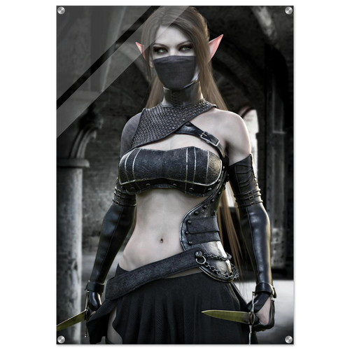 A vertical wall banner or poster featuring a fantasy elf woman in dark black and gray armor, holding a dagger, set against a dark stone archway background.