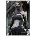 A vertical poster or print featuring a fantasy female elf character with long brown hair, pointed ears, a black face mask, and a dark armored outfit, shown against a dark stone archway background. The print has a glossy finish with visible light reflections near the corners.