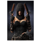 Handcrafted fantasy artwork featuring a hooded female pirate assassin holding twin flintlock pistols while wearing ornate black pirate attire and leather gear. Premium wall art for fantasy collectors, pirate enthusiasts, RPG players, gaming rooms, and nautical décor.