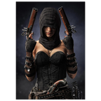 Handcrafted fantasy artwork featuring a hooded female pirate assassin holding twin flintlock pistols while wearing ornate black pirate attire and leather gear. Premium wall art for fantasy collectors, pirate enthusiasts, RPG players, gaming rooms, and nautical décor.
