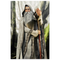 A fantasy wizard character wearing a long gray hooded robe with patterned trim, a white beard, and holding a staff topped with a glowing orb, set against a misty forest background.