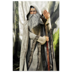 A fantasy wizard character wearing a long gray hooded robe with patterned trim, a white beard, and holding a staff topped with a glowing orb, set against a misty forest background.