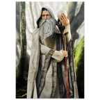 A fantasy wizard figure or collectible character wearing a long gray robe with patterned trim, a white beard, and a headpiece, holding a staff in a misty forest setting.