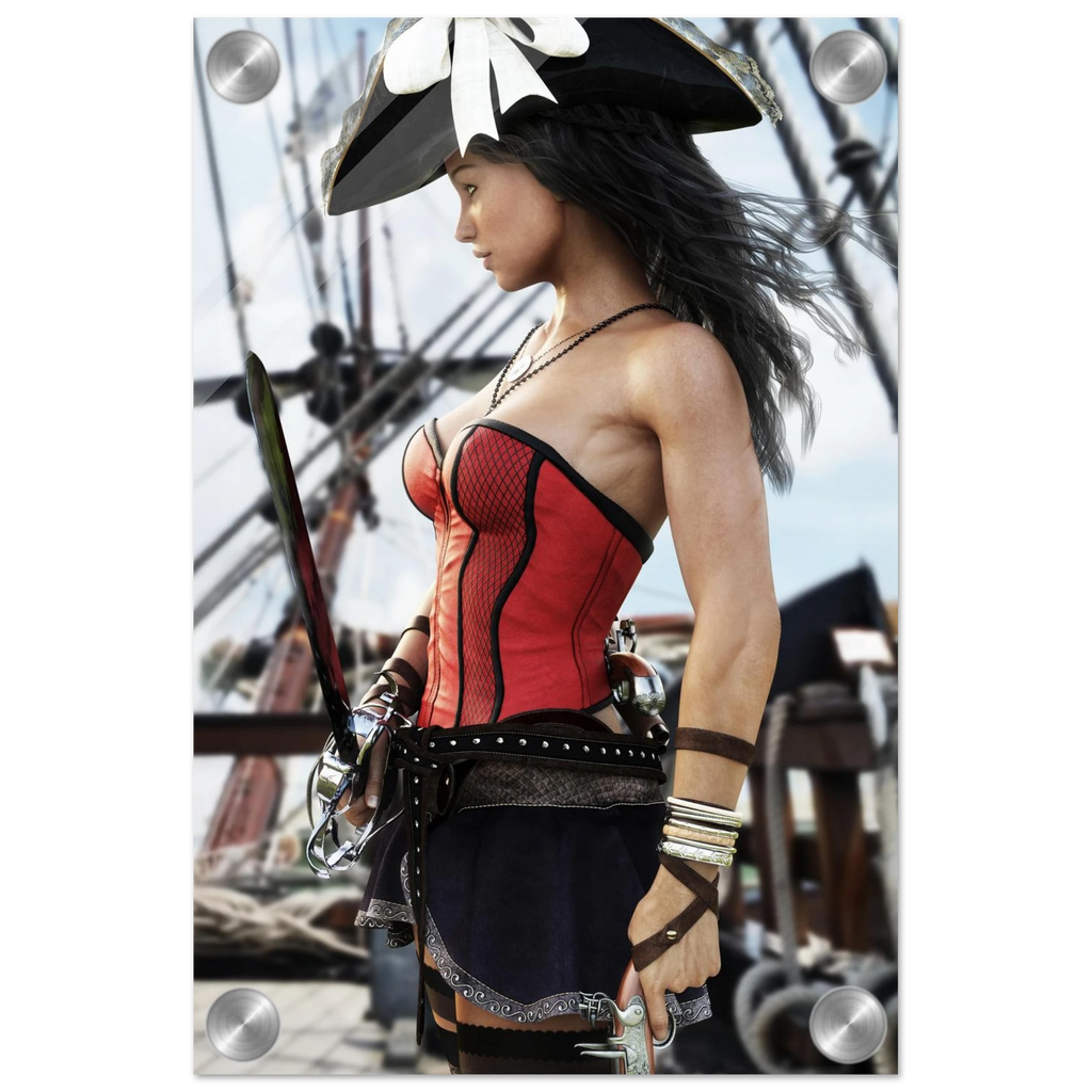 A pirate-themed fashion print featuring a woman in a red and black corset top, dark skirt, and black hat with a white feather, set against a background of a sailing ship.
