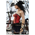 A pirate-themed fashion print featuring a woman in a red and black corset top, dark skirt, and black hat with a white feather, set against a background of a sailing ship.